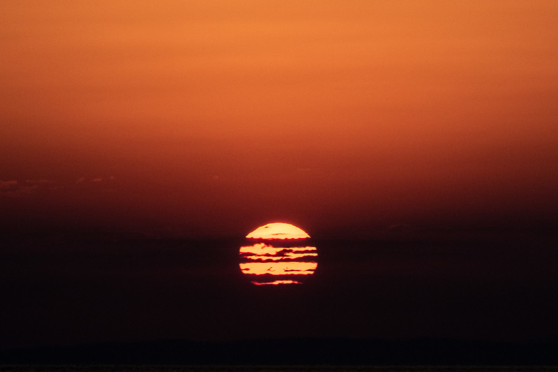 Galeria wystawy 'Co przyniesie dzień?'